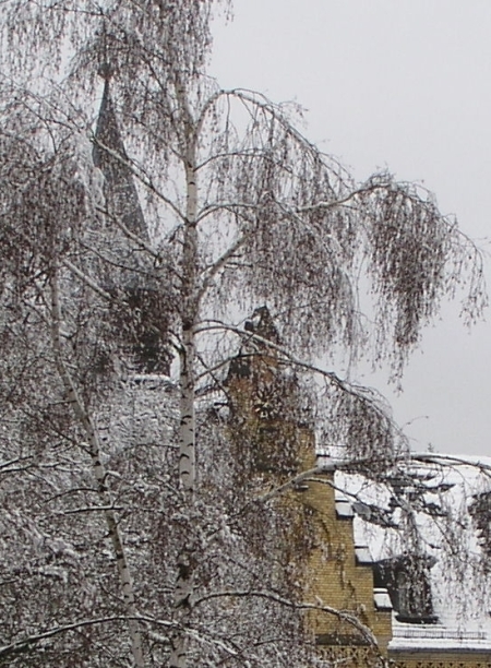 Bild: Marsberg im Schnee (1)